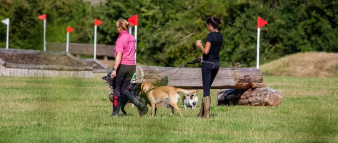 Caminata Canina Rionegro uniendo bienestar animal y ayuda a damnificados