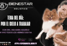 Bienestar holístico con la doctora Ana María Agudelo: Pon el cielo a trabajar Doctora Ana María Agudelo conduciendo el programa de bienestar holístico en el portal Salud 360.