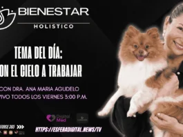 Doctora Ana María Agudelo conduciendo el programa de bienestar holístico en el portal Salud 360.
