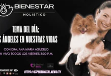 Bienestar Holístico: Los Ángeles en nuestras vidas con Dra. Ana María Los Ángeles en nuestras vidas: Bienestar Holístico con la Dra. Ana María