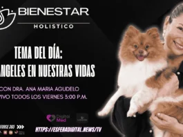 Los Ángeles en nuestras vidas: Bienestar Holístico con la Dra. Ana María