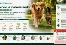 Masa muscular en mascotas: Evaluación y Ejercicios Clave | Salud 360 Veterinario evaluando la firmeza y la masa muscular en mascotas mediante palpación en la zona de los omóplatos y lomo.