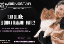 Bienestar Holístico con la Doctora Ana María Agudelo en Vivo Doctora sonriente en un set de grabación radial moderno compartiendo apuntes sobre bienestar holístico durante un programa en vivo