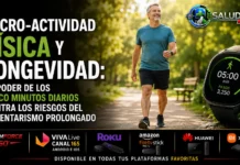 Tiempo de Actividad Diaria para Reducir la Mortalidad | Salud 360 Persona interrumpiendo el sedentarismo en su oficina para realizar estiramientos y cumplir el tiempo de actividad diaria para reducir la mortalidad.